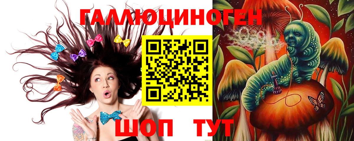 Псилоцибиновые грибы прущие грибы  Вход с VPN  купить закладку  Северобайкальск 