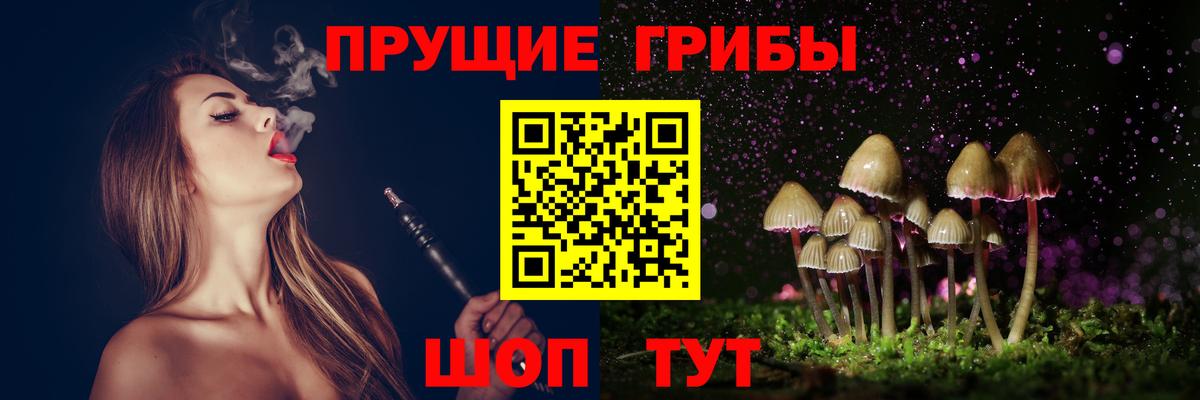 Галлюциногенные грибы Cubensis Северобайкальск